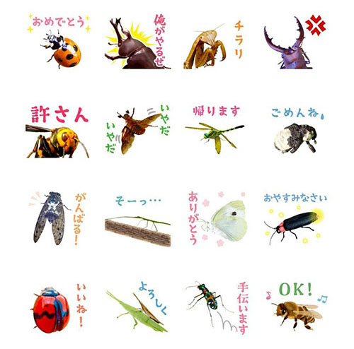 虫&バトルスタンプ