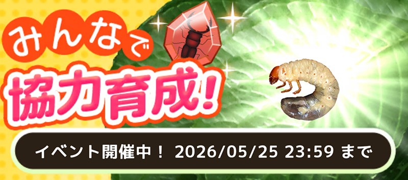 むしいく3 2周年記念 カブトムシ